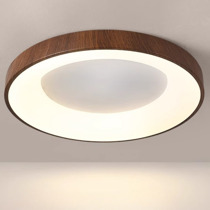 Modern LED Tavan Lambası Oturm - Lighting Decoration For Home incelemesi ve fiyatı