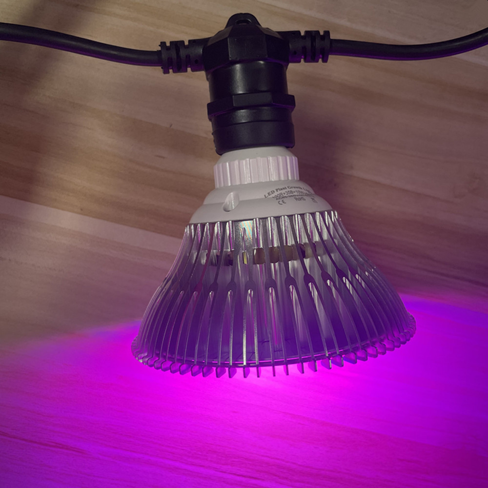 10M Kablo LED Dize Işık Zincir - Outdoor Lighting Wedding Decor incelemesi ve fiyatı